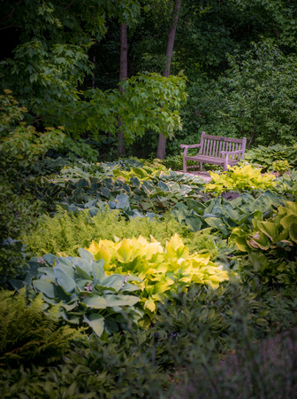 Arb Summer Gardens 2020