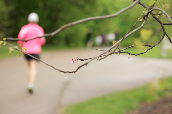 Bud Break 5K 2012