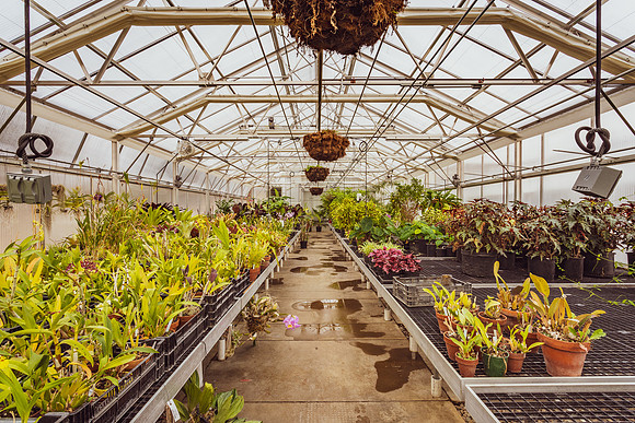 McQuinn Horticulture and Operations Headquarters