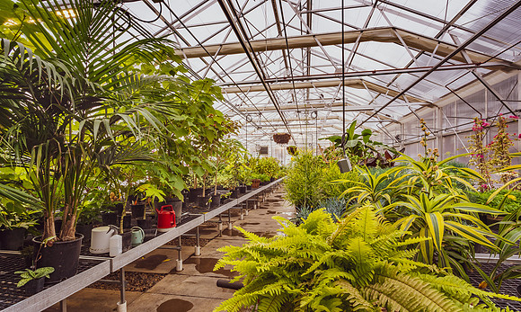 McQuinn Horticulture and Operations Headquarters