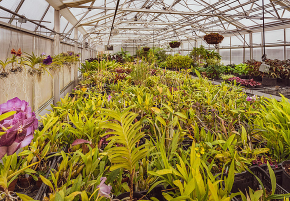 McQuinn Horticulture and Operations Headquarters