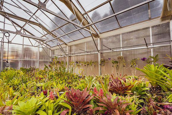 McQuinn Horticulture and Operations Headquarters