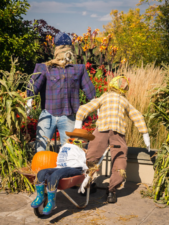 Scarecrows in the Garden 2014