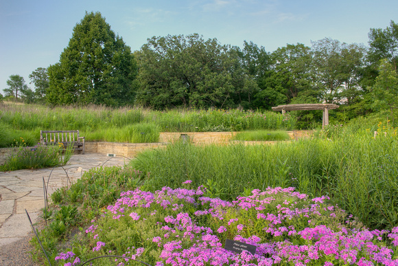 Prairie Garden 3