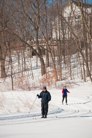 Winter Sport - skiing