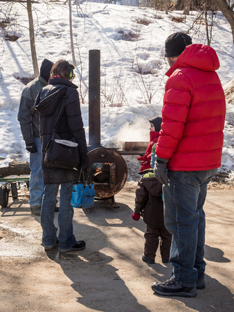 Maple Syrup production demonstration