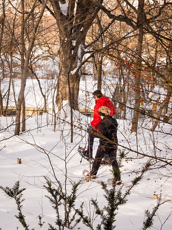 Snowshoeing along Wood Duck Trail