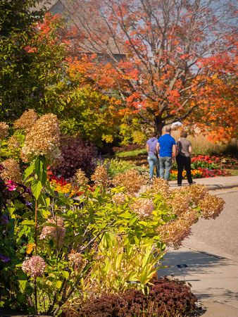 Fall colors in front of Snyder Building
