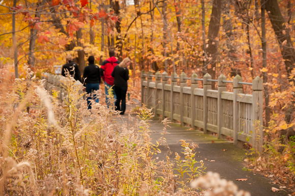 Fall Hikers