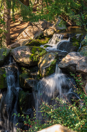 Dwarf Waterfall 01
