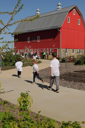 2024 Bud Break 5k (timed) Run and1k Fun Run