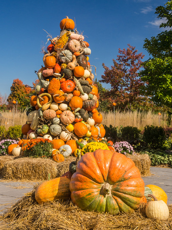 Pumpkin Palooza outdoor display