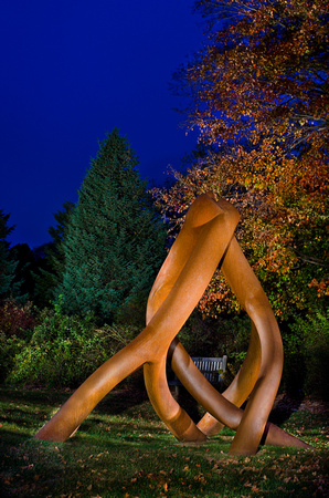 SteelRootSculpture- Rose BushGarden