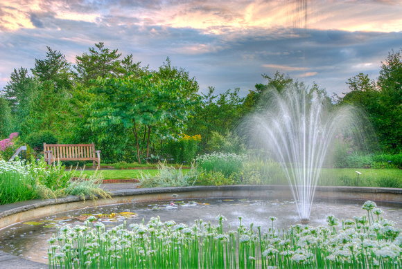 Stormy Evening Perennial Fountain 1