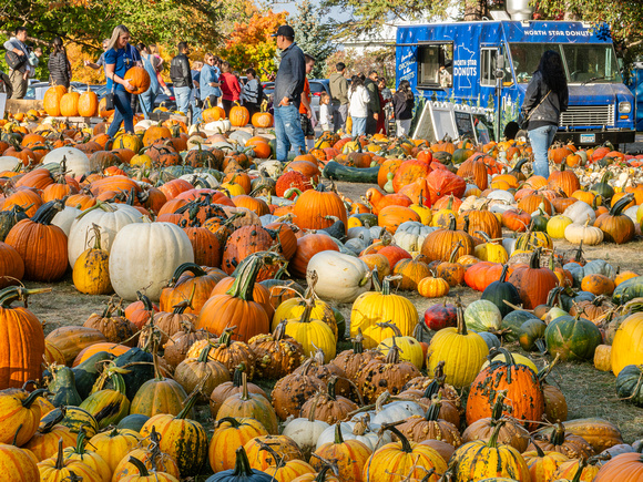 Pumpkins/Gourds  for Sale at the AppleHouse