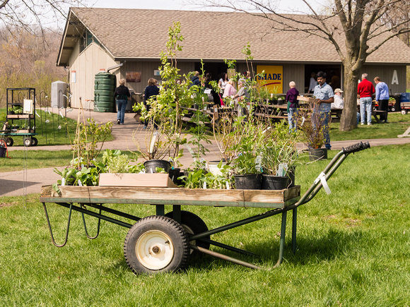 Auxiliary Spring Plant Sale 2014