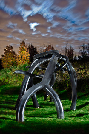 Steelroots at night