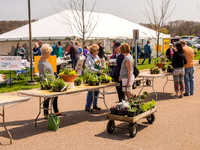Auxiliary Plant Sale