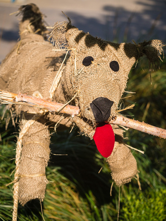Scarecrow Dog