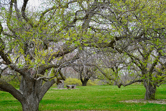 CrabTreeCollectionThreeMileDrive2024_BonnieRonning.10