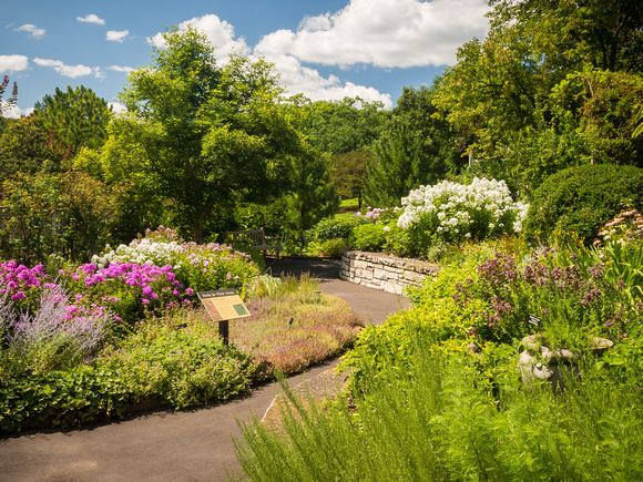 Fragrant Herb Garden