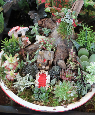 2025 Spring Flower Show