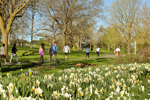 2024 Bud Break 5k (timed) Run and1k Fun Run