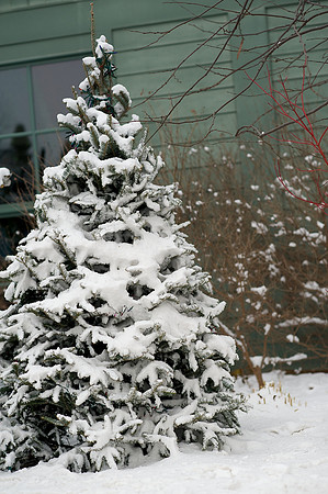 Making Spirits Bright 2011