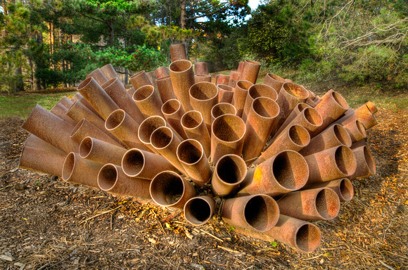 Steelroots