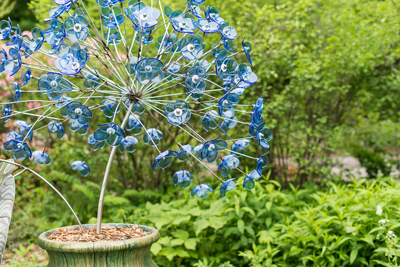 Nature in Glass