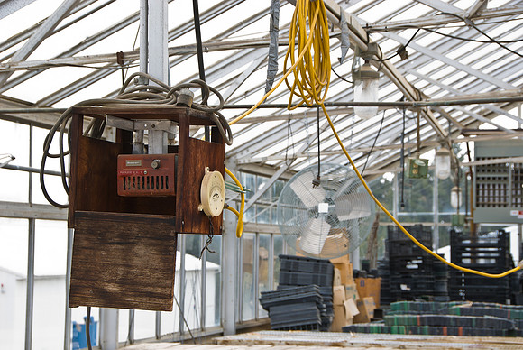 Greenhouse & Headshop Deterioration