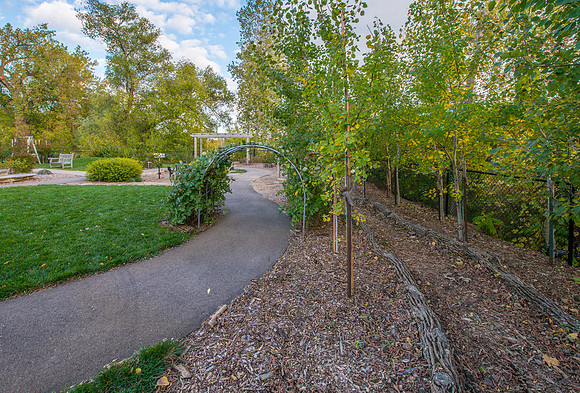 The Green Play Yard 2014