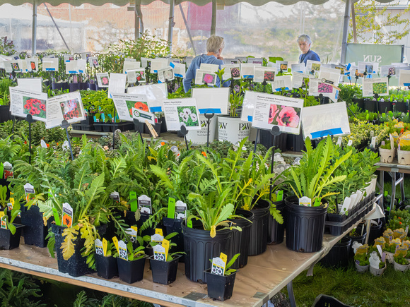 Annual Plant Sale 2024