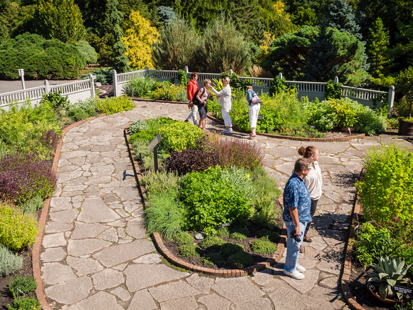 Kitchen Herb Garden