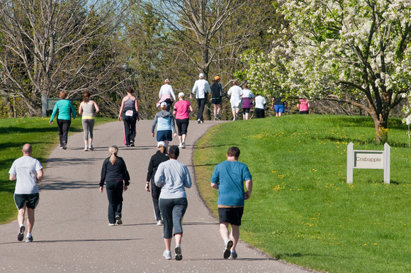 Bud Break Run/Walk 2010 participants
