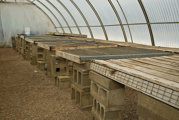 Greenhouse & Headshop Deterioration