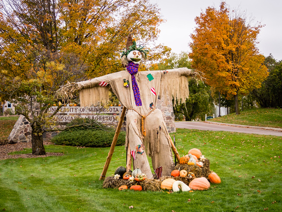 Arboretum Entrance Fall scarecrow