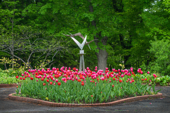 The 2012 Tulip Display