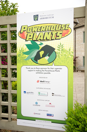 Powerhouse Plants