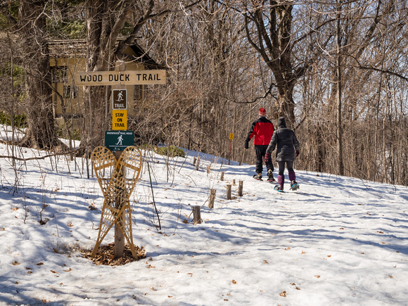 Late Spring snowshoeing