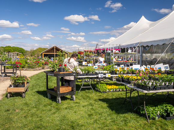 Annual Plant Sale 2024