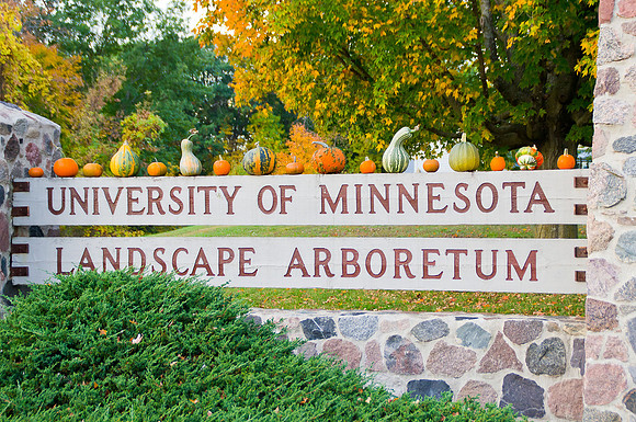 Arboretum Autumn Experience