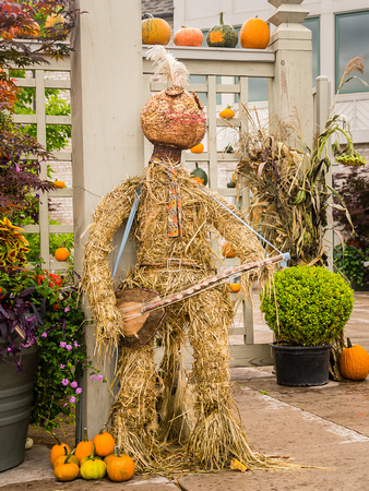 Arboretum Autumn Experience