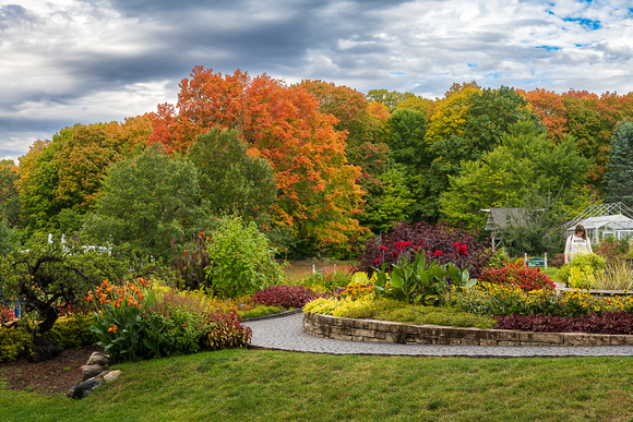 Annual Garden Autumn 2022