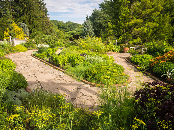 Kitchen Herb Garden
