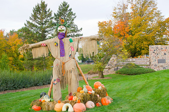 Arboretum Autumn Experience