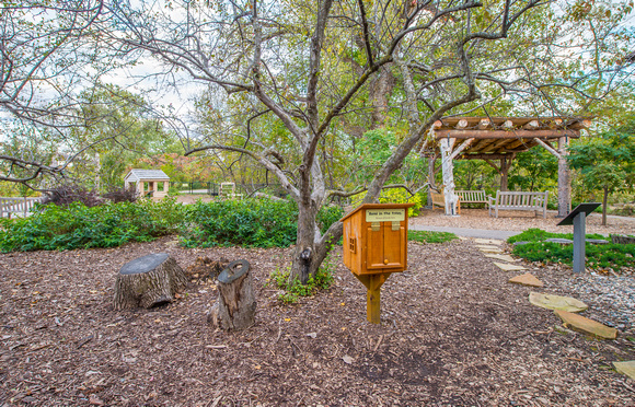 The Green Play Yard 2014
