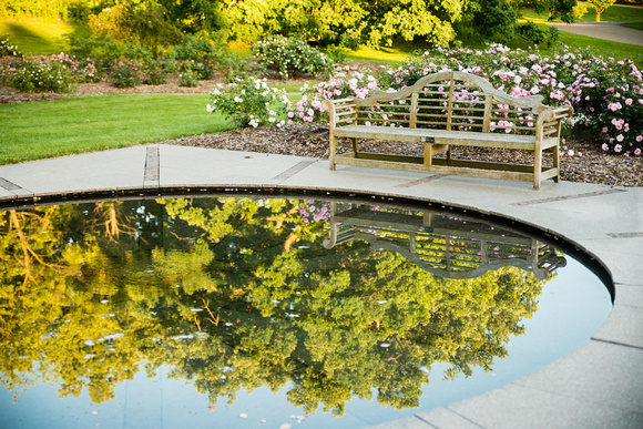 Reflecting pool in the Shrub Rose Garden