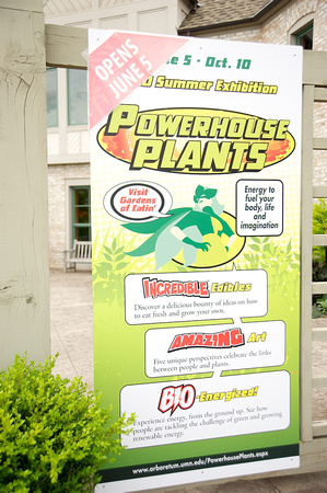 Powerhouse Plants