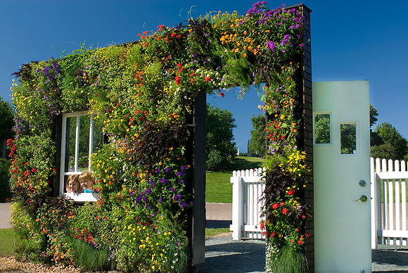 Powerhouse Plants #11 "Homegrown" Vertical Garden